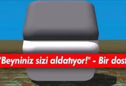 Beyniniz sizi nasıl aldatıyor?