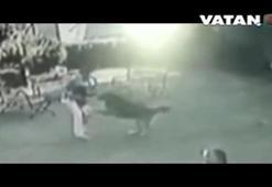 15 aylık bebeğin zor anları!