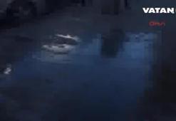 Kocasını vurup başında bekledi!