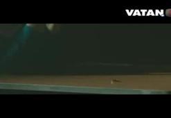 Karadayı yeni 3. sezon fragmanı