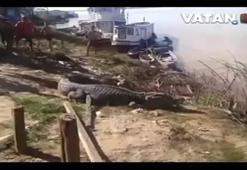 Az daha canından oluyordu!