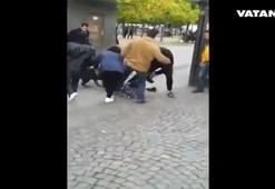 Çocuğu rottweiler cinsi köpeğin elinden zor aldılar