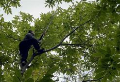 Kilosu 35 lira! Herkes oraya akın ediyor, 1 kilometrelik kuyruk...