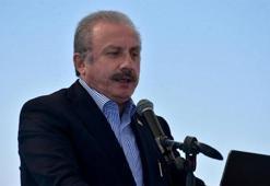 Şentop: Bir canı sahiplendiğinizde sorumluluğun bilincinde olun