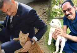 Siyasilerden 'Hayvanları Koruma Günü' paylaşımları