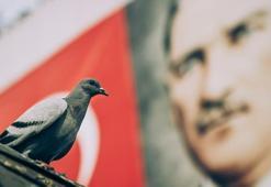 29 Ekim şiirleri: 2, 3, 4 kıtalık kısa 29 Ekim Cumhuriyet Bayramı en güzel şiirleri ile Cumhuriyet şiirleri burada!