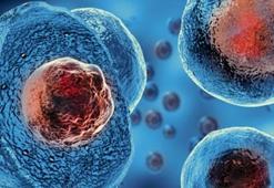 Kök hücre tedavisi nedir, nasıl yapılır? Kök hücre tedavisi hangi hastalıklarda kullanılır?