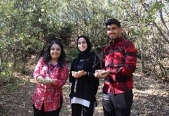 Yanan ormanlar için seferber oldular