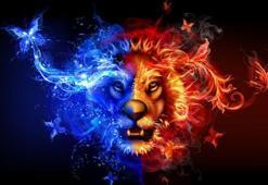 Aslan Burcu Erkeği Kiminle Evlenmelidir? Aslan Burcu Erkekleri Evlilikte Nasıldır?