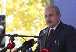 TBMM Başkanı Şentop'tan 'güçlendirilmiş parlamenter sistem' açıklaması