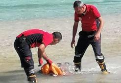 Rafting yaparken botu devrilen doktor hayatını kaybetti