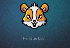 Hamster Coin nedir? Elon Musk duyurduğu Hamster Coin nasıl ve nereden alınır, ne kadar, kaç TL?