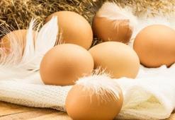 Rüyada yumurta görmek ne anlama gelir? Rüyadaki yumurta neye işaret eder?