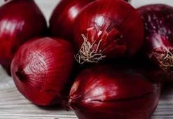 Salmonella virüsü nedir, salmonella virüsü nasıl ve nereden bulaşır? Salmonella virüsü belirtileri ve tedavisi…