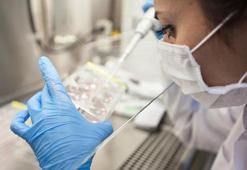 Tüp bebek tedavisi öncesi hangi testler yaptırılmalıdır?