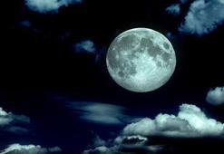 Rüyada kavga etmek ne anlama gelir? Rüyadaki kavga neye işaret eder?