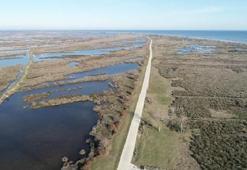 Tehlike çok büyük! Kızılırmak Deltası’nda zirai tarım ilacı tehdidi
