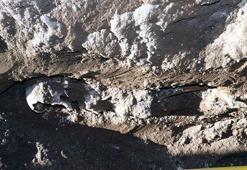 Kayseri'de bulundu! Mahallede doğal gaz çalışması yaparken...