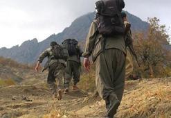 Terör örgütü PKK/YPG'de büyük çatlak! Korkularından gelemediler