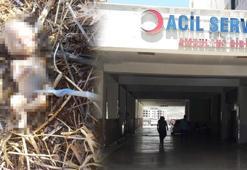 Mardin’de sır olay! Çobanlar buldu görenler hayrete düştü