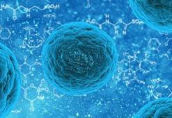 Böylesi ilk kez gerçekleşti! 'Bakire doğum' yapıldı, 2 yaşında...