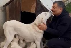 Bakan Koca'dan yürekleri ısıtan paylaşım!