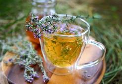 Kekik çayına dikkat! Fazla tüketimi düşük riskine yol açıyor