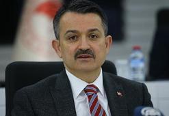 Hibe desteği! Yarısını devlet ödüyor, başvurular başladı