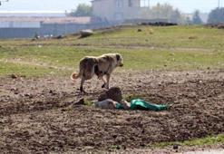 Bir ilde alarm! Karantinaya alındı