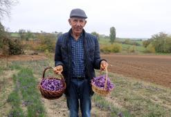 Hobi olarak başladı paraya para demiyor! Kilosu 50 bin lira, taleplere yetişemiyor