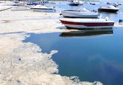 Marmara Denizi, 'Özel Çevre Koruma Bölgesi' ilan edildi