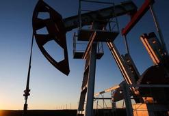 Petrol bulundu! Bir ilin kaderi değişti