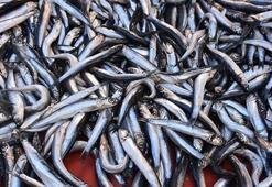 Fiyatı düştükçe düşüyor! 25 TL'ydi şimdi ise 10 TL'den satılıyor