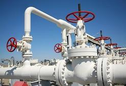 Doğal gaz ile ilgili flaş açıklama! Yüzde 75...