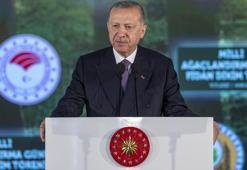 Cumhurbaşkanı Erdoğan: Türkiye, ağaçlandırma çalışmalarında Avrupa'da birinci sırada