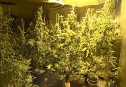 Eyüpsultan'da uyuşturucu serasına çevrilen depoya baskın