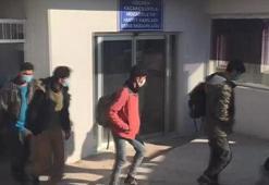 Boş sebze kasalarının altından 64 kaçak göçmen çıktı