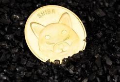 Shiba coin yakımı ne zaman? Shiba coin ne zaman çıktı?