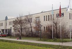 Tedirgin eden açıklama! 1 milyon bitki ve hayvan türü için yok olma tehlikesi!