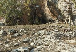 Siirt'te Eren Kış-5 operasyonu başladı