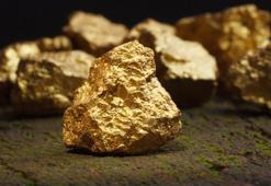 Altın fışkıracak! Onay verildi