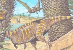 Brezilya’da dişsiz bir dinozor kalıntısı keşfedildi