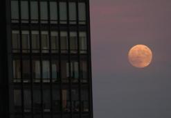 Ay tutulması başladı! Son 6 asrın en uzunu olacak