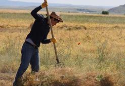 Çiftçilere destek ödemesi son dakika! Çiftçi destek ödemeleri ne zaman yatacak? 2021 çiftçi destekleme ödemesi sorgulama