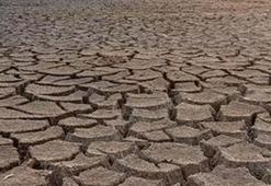 Çiftçiye kuraklık desteği ne zaman verilecek 2021? Kuraklık desteği kimlere, hangi illere verilecek, şartları ne? Kuraklık desteği Resmi Gazete’de yayımlandı!