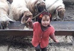 Müslüme Yağal ölüm sebebi ne, Müslüme'nin dedesi neden tutuklandı? Anne Selvi Yağal'dan son açıklama!