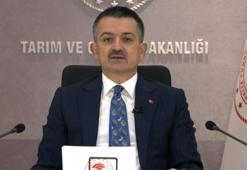 Bakan Pakdemirli: Tarım, orman ve su tarihte hiç olmadığı kadar önemli hale geldi