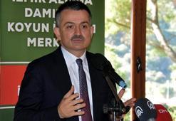 Bakan Pakdemirli: Türkiye küçükbaş varlığında Avrupa'da 1'inci sırada
