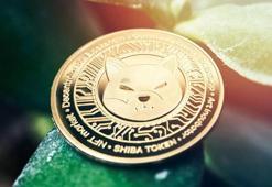 Shiba Inu'de hareketlilik! Shiba neden yükseliyor?