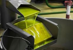 Zeytinyağı fiyatları ile ilgili flaş açıklama! Yükseldi...